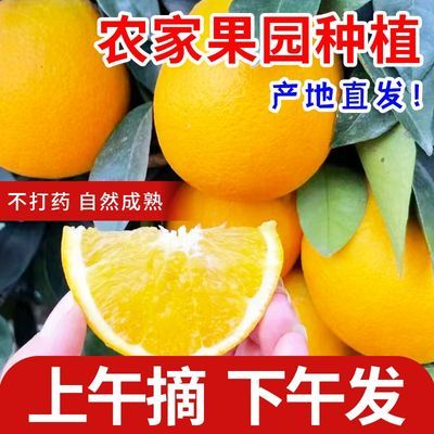 【薄皮橙子】正宗赣南脐橙大果多汁当季橙子精品果园直发送剥橙器