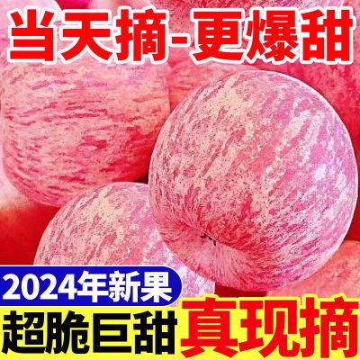 正宗洛川2024陕西脆甜冰糖红富士当季苹果新鲜整箱水果批发