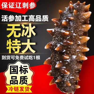 即食海参非干货无冰特大辽刺参礼盒独立包装化冻即食秋冬滋补海参