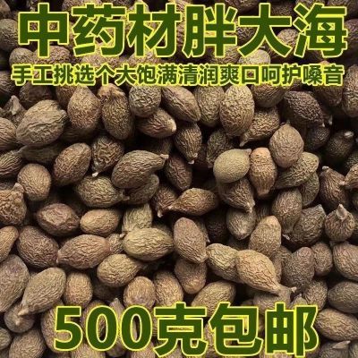 正宗胖大海正品胖大海茶喉咙茶精选大果无硫罗汉果干茶清热去火茶