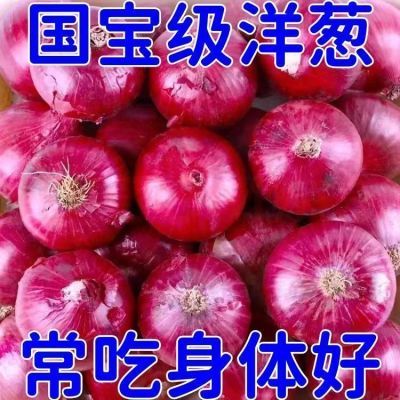 【冲量特价】洋葱紫皮红皮水果洋葱头圆葱水果蔬菜整箱批发价