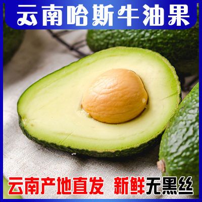 正宗哈斯云南牛油果当季大果孕妇新鲜水果鳄梨宝宝辅食非进口智利