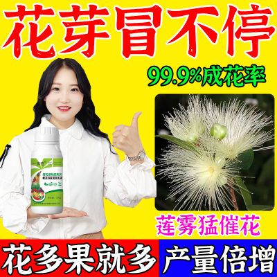 莲雾催花素】海南碧花开催花莲雾花芽分化催花保花保果增产水溶肥