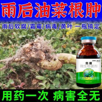 油菜根肿专用药油菜病全治防裂烂根黄叶菌核软腐霜霉病专用除菌剂