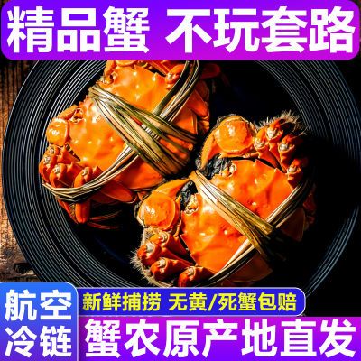 【活蟹】大闸蟹鲜活特大全母螃蟹河蟹现货海鲜水产礼盒含绳6/8只