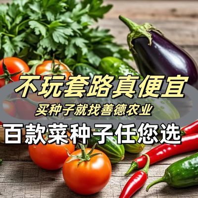 买5送5【冬季阳台盆栽】各种菜种子蔬菜种子大全菜种子户外花园