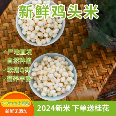 2024天长新鲜野生农家去皮食用鸡头米鸡头果芡实茨实五谷杂粮200g