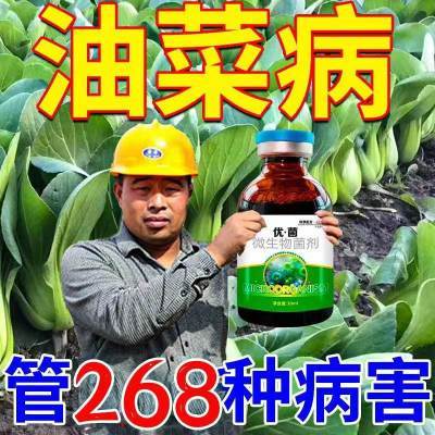 雨后油菜病专用油菜病全治菌核软腐霜霉病防裂烂根黄叶正品杀菌剂