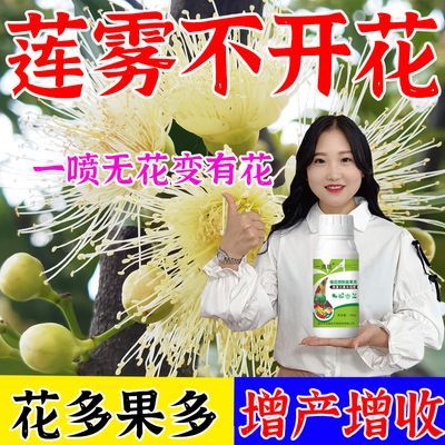 莲雾催花素】海南碧花开催花莲雾花芽分化催花保花保果增产水溶肥