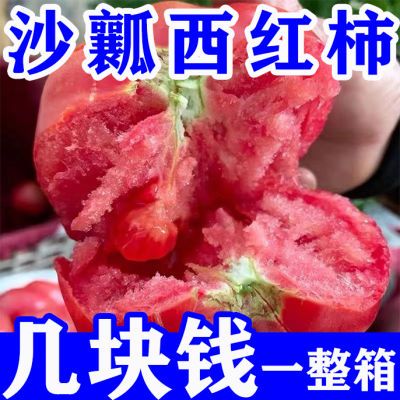 【生吃自然熟】正宗攀枝花高山沙瓤西红柿当季新鲜普罗旺斯大番茄