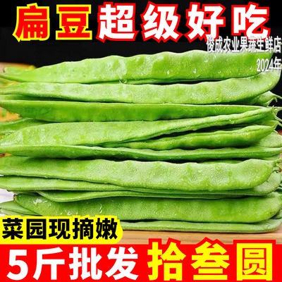 【产地批发】云南农家扁豆现摘扁豆四季豆无筋豆当季时令新鲜蔬菜