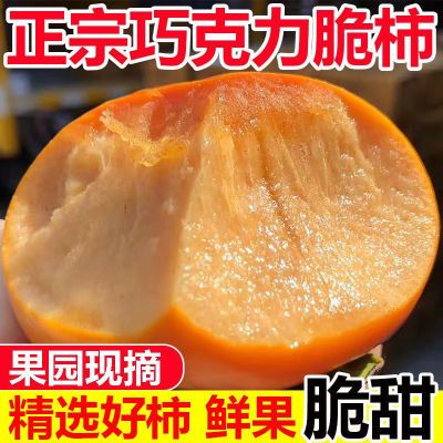 【精品】正宗巧克力冰糖心脆柿子特大果王生吃硬脆甜新鲜水果柿子