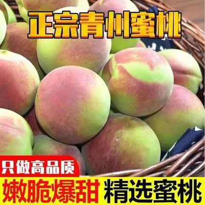 山东青州蜜桃新鲜脆桃脆桃蜜桃毛桃甜桃当季硬脆新鲜应季水果桃子