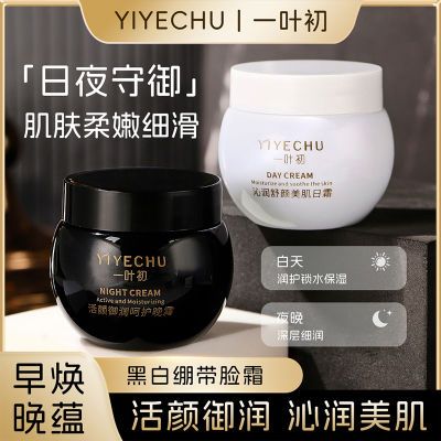一叶初活颜御润呵护早晚霜细腻精致面霜提拉保湿淡化皱纹补水嫩肤