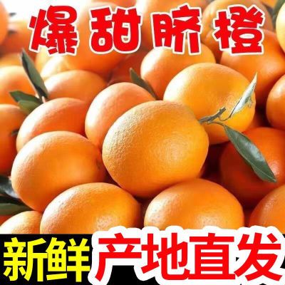 当季橙子新鲜水果高山脐橙应季手剥甜橙榨汁批发整箱非赣南的脐橙