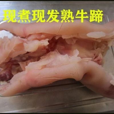 草饲黄牛牛蹄去骨剔骨牛蹄整只新鲜半熟脱骨牛脚牛蹄筋正宗大牛蹄