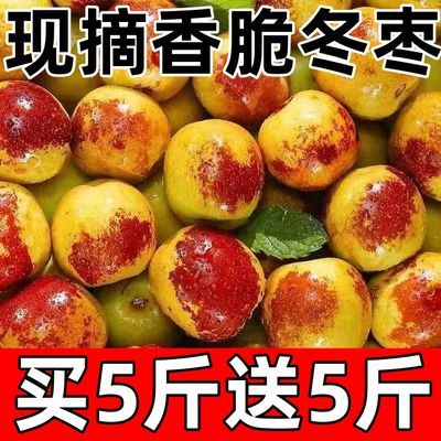 【现货脆甜】山东沾化新鲜冬枣当季水果大枣子鲜枣脆枣鲜红枣批发