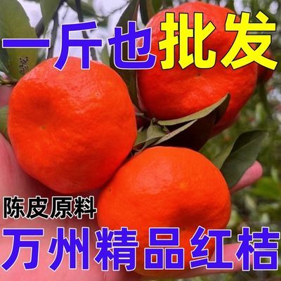 重庆万州古红桔大红袍橘子正宗四川红橘薄皮陈皮当季新鲜红袍柑