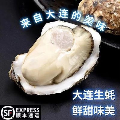 大连刺身级生蚝鲜活牡蛎带壳海蛎子贝类水产孕妇食补送大号新鲜