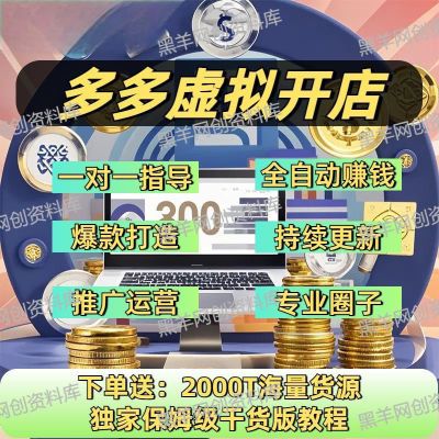 2024 虚拟无货源电商开店 1 对 1 指导课程新手零基础入门教程