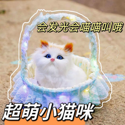 花篮小猫咪彩灯儿童玩具毛绒猫咪女孩花篮猫咪玩具生日礼物