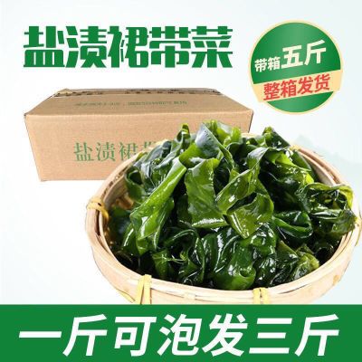 【T5斤盐渍裙带菜】海带苗海带新鲜裙带海白菜海菜海藻海白菜嫩