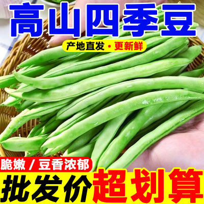 【万人疯抢】云南高山四季豆新鲜现摘批发微筋脆爽整箱蔬菜非扁豆