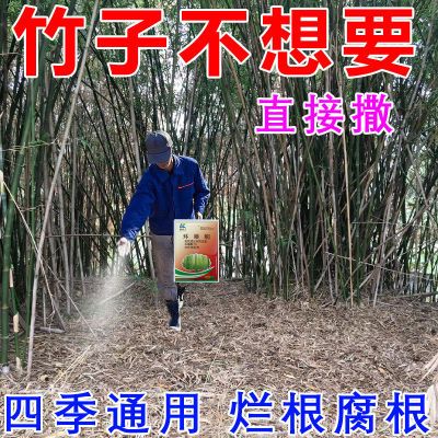 四季通用强效打竹子去竹根大竹杂竹清竹杂草灌木农用除草剂环嗪酮