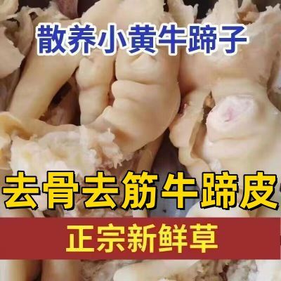 正宗牛蹄皮新鲜清真去骨去筋牛蹄整只火锅食材牛脚皮半成品牛肉类