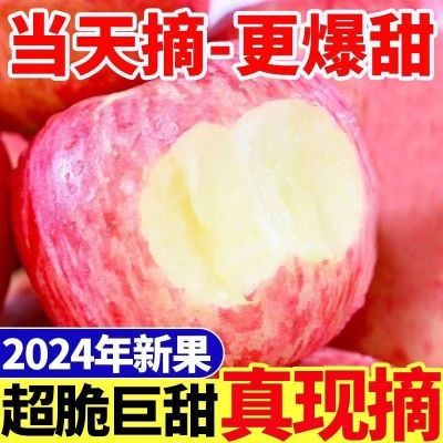 【头茬新果】正宗红富士苹果新鲜特级苹果脆甜多汁批发整箱包邮