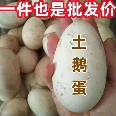 【包赔】散养正宗农家土鹅蛋新鲜特大整箱破损批发一箱孕妇宝宝