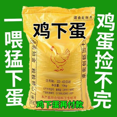 鸡不下蛋用它四季都下蛋鸡鸭鹅通用催蛋增蛋产蛋翻倍多母鸡猛下蛋