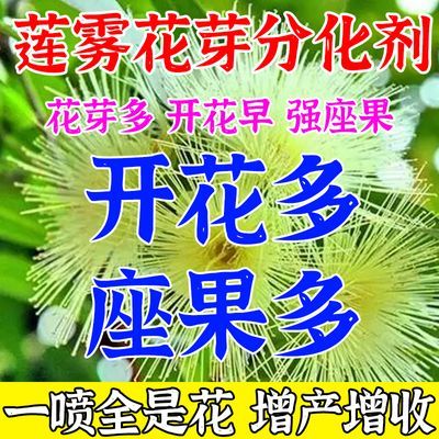 莲雾催花素】海南碧花开催花莲雾花芽分化催花保花保果增产水溶肥