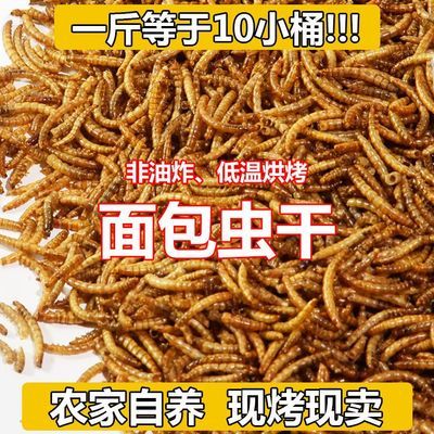 仓鼠粮食面包虫干黄粉虫八哥鹩哥零食刺猬饲料龙鱼芦丁刺猬鹦鹉鸟