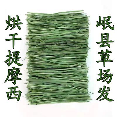 24年烘干提摩西草烘干切段干草北提兔子草粮龙猫荷兰猪饲料牧草