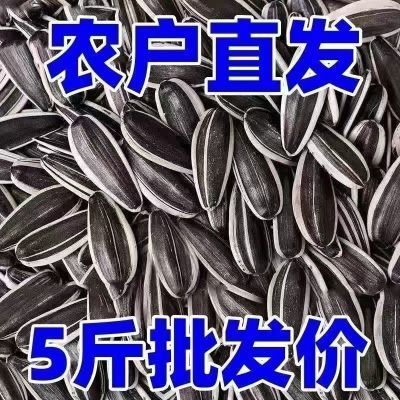 无干燥剂2024年新货内蒙古新鲜炒熟原味生葵花籽袋装薄皮核桃