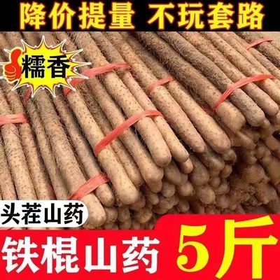 新鲜铁棍山药正宗怀山垆土铁棍小白嘴淮山新鲜蔬菜整箱批发