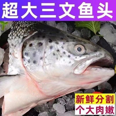 正宗国产三文鱼鱼头新鲜现切冷冻海鲜超大个煲汤鲜活直发批发包邮