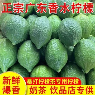 【抢购中】正宗广东香水柠檬精选鲜果奶茶店专用无籽新鲜柠檬批发