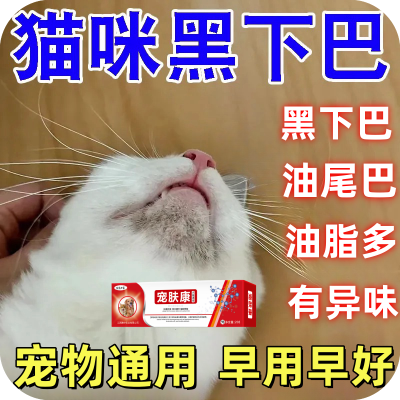 【不怕舔】猫癣黑下巴结痂掉毛溃烂真菌皮肤感染猫咪油尾巴油脂多