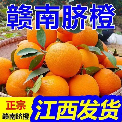 新鲜现摘正宗赣南脐橙应季水果超大果江西橙子5斤10斤榨汁批发