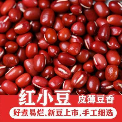 装精选红豆当季新货精品红豆沙去湿气五谷杂粮祛湿红小豆红