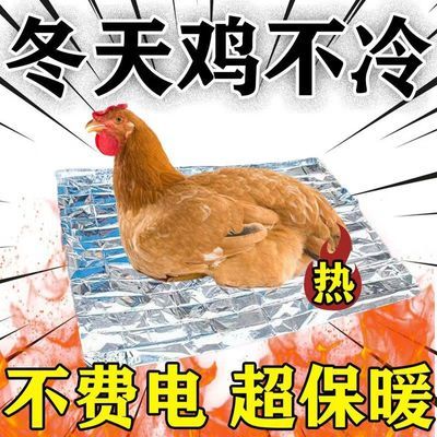 冬天鸡窝保暖下蛋用鸡舍喂鸡屋鸡下蛋窝家用鸡生蛋产蛋窝保暖毯