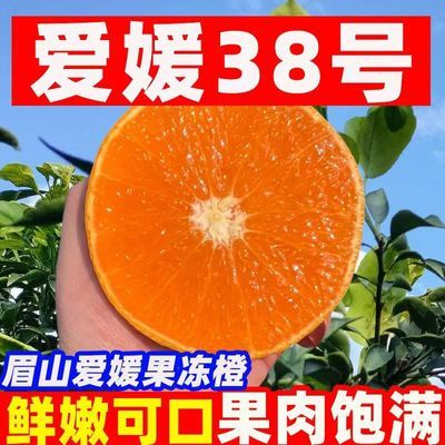 正宗眉山果冻橙现摘38号果冻橙新鲜手剥橙子柑橘应季水果批发