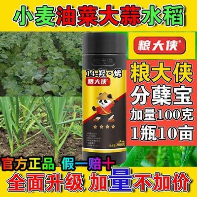 粮大侠小黑瓶促分蘖宝小麦油菜大蒜水稻防冻剂生根抗倒伏高丰增产