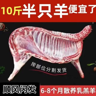 【半只羊】新鲜羊肉10斤草原羊羔本地散养全羊整只羊腿4斤