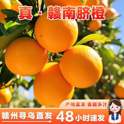 【首单直降】正宗赣南早脐橙当季橙子新鲜水果纽荷尔手剥甜橙子