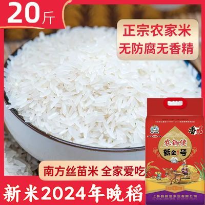 【100%正品猫牙米】2024年广西壮族长粒猫牙米农家新米丝