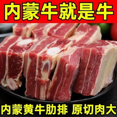 【内蒙古黄膘牛排】锡林郭勒盟草原黄牛肉新鲜牛排原切牛肋排原切