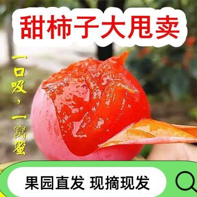 【甜蜜爆浆】正宗迷你新鲜火罐红珍珠吊柿无核无籽现货一整箱包邮